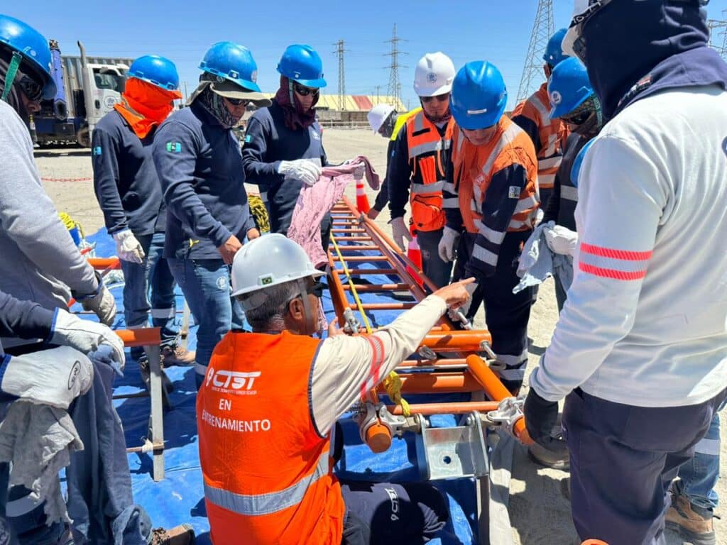 Consultoria em Linha Viva