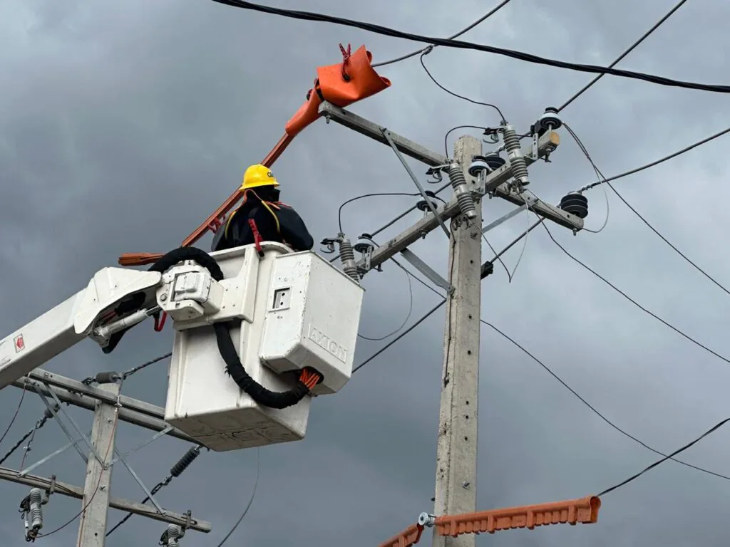 CTST - Medium Voltage Live Line Training in Compact Networks